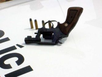 Almg debate criacao de uma Central de Custodia Helena Leao Arquivo Almg Balcao news