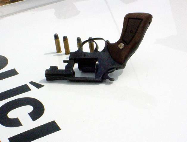 Almg debate criacao de uma Central de Custodia Helena Leao Arquivo Almg Balcao news