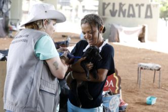 CMBH aprova areas para animais em abrigo PBH Balcao News