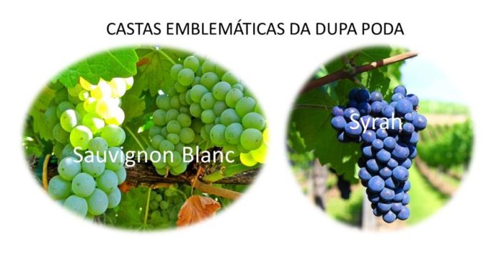 Castas emblematicas da Dupla Poda 1
