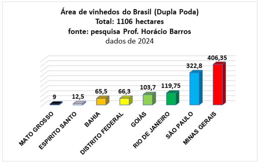 Area de vinhedos no Brasil