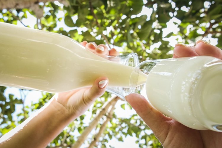 image 750x500 696fd79d1bf31 KiaGFk