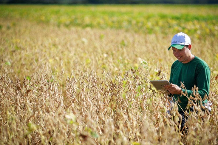 image 750x500 698f873021754 SztNCf