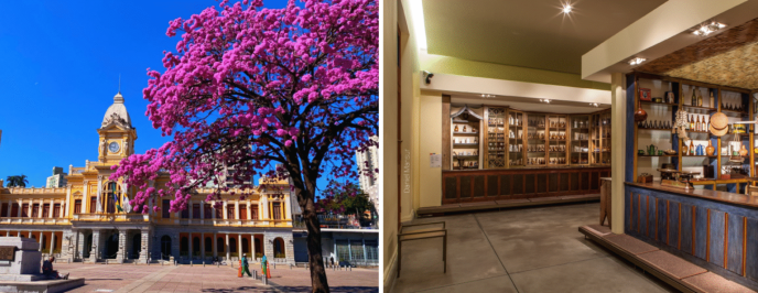 SESI MAO BANNER 1536x594 1