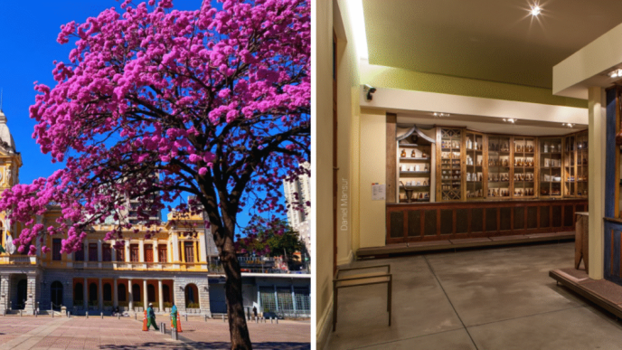 SESI MAO BANNER 1536x594 1