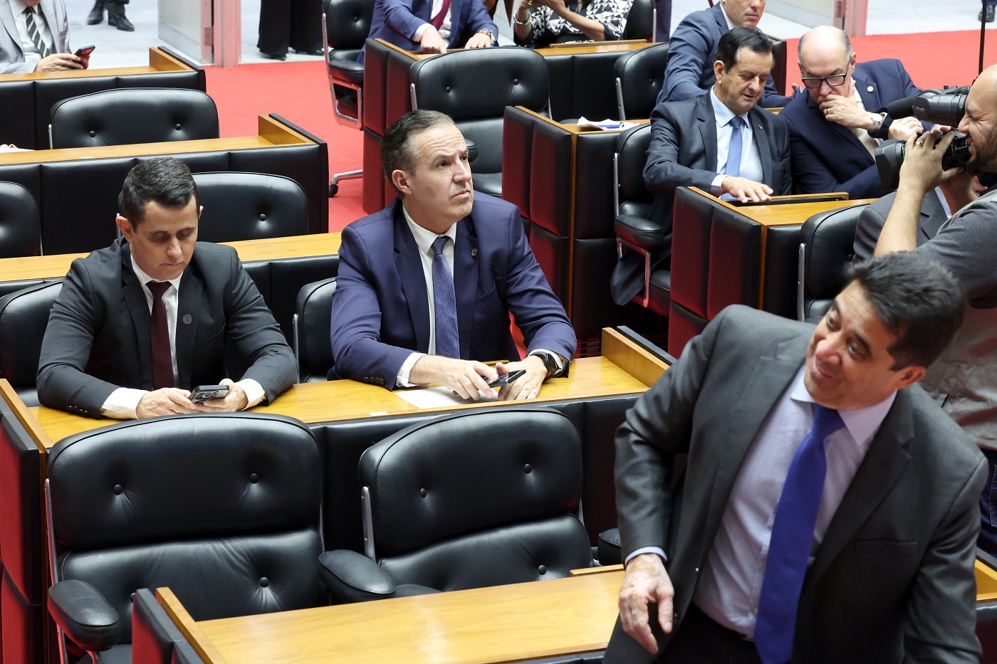ALMG aprova equoterapia para pessoas com deficiência