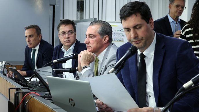 Cao orelha wiiliam dias