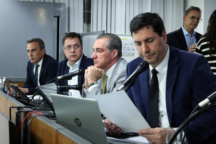Cao orelha wiiliam dias
