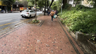 Praca marilia de dirceu