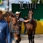 Cervejaria Läut celebra 10 anos e reforça conexão com o agronegócio