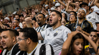 Galo doido