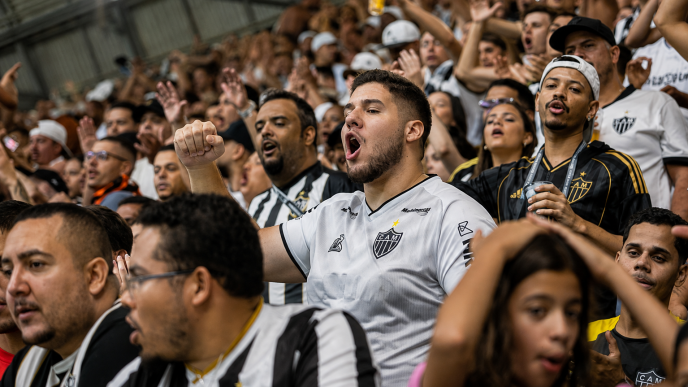Galo doido
