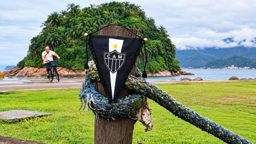 Galo de férias