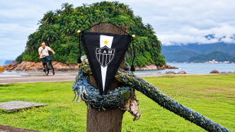 Galo de férias
